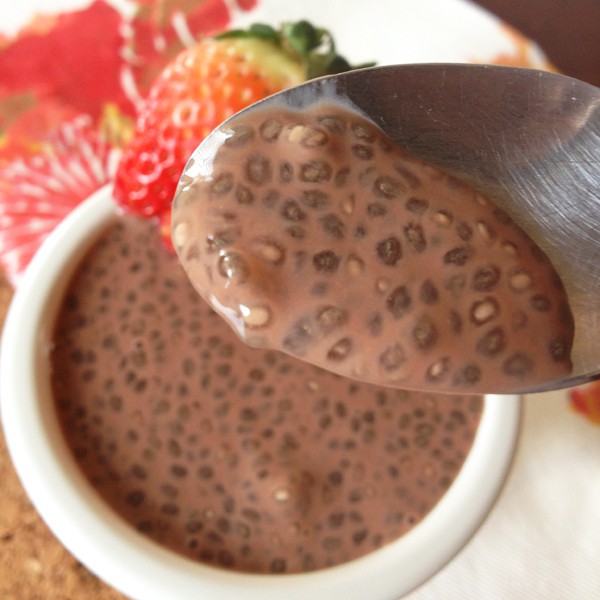 The Chocolate Chia Pudding Recipe - Paleo Life