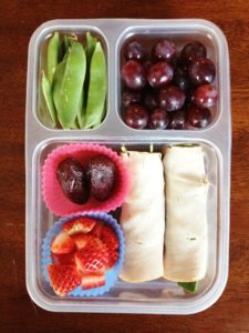 Kid's Paleo Lunches - Organized and Easy Paleo Lunch Ideas