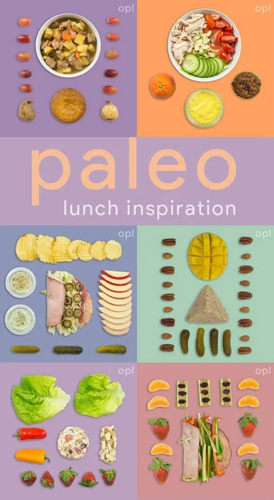 Back to School – lunches, snacks, and home learning tools!  Against All  Grain - Delectable paleo recipes to eat & feel great