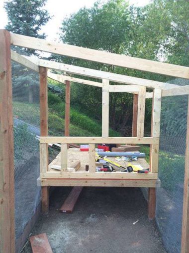 Backyard Chicken Coop DIY Inspiration with Over 50 Photos