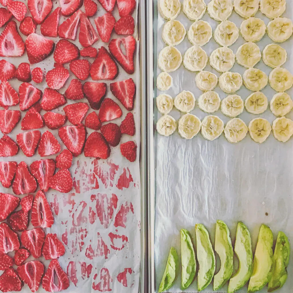 Freeze dryer vs. dehydrator: Which one is right for you?
