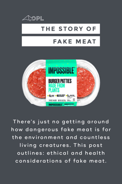 Fake Meat (mono-crops, Ethical Food Choices & Nutrition)